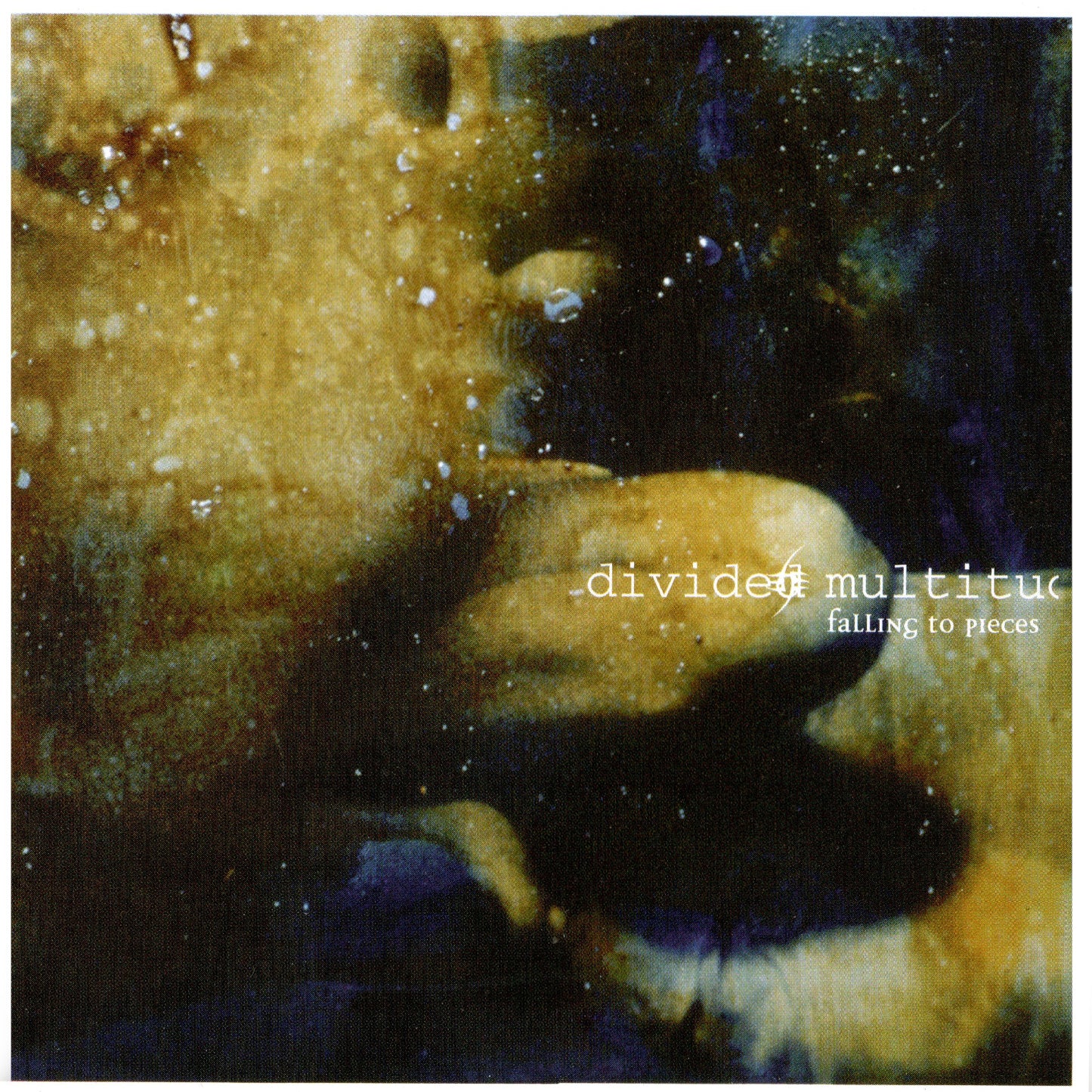 Divided Multitud - Falling To Pieces