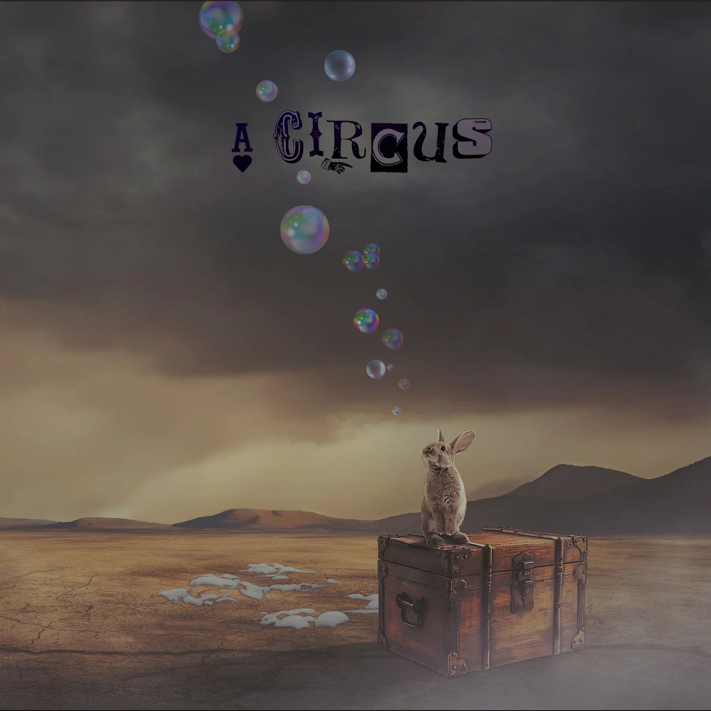 A Circus – A Circus