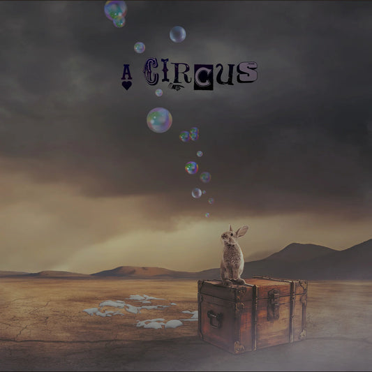 A Circus – A Circus