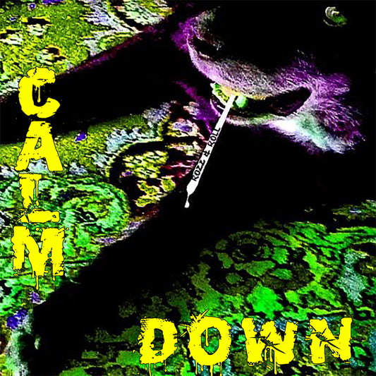 Rozz & Roll - Calm Down